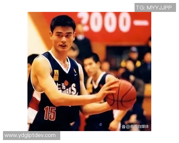 姚明在篮球场上的困境与挑战如何影响他的职业生涯与未来发展