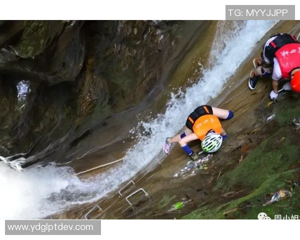 重庆极限运动队引发的意识形态争议与热议探讨